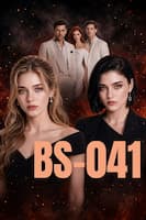 BS-041